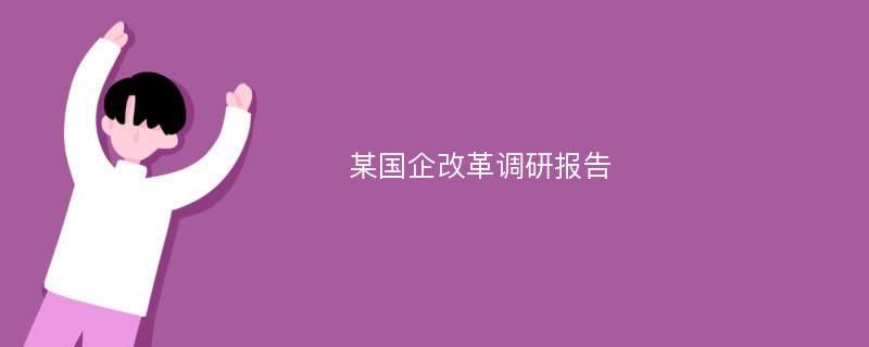 某国企改革调研报告