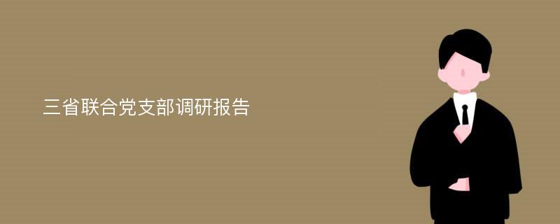 三省联合党支部调研报告