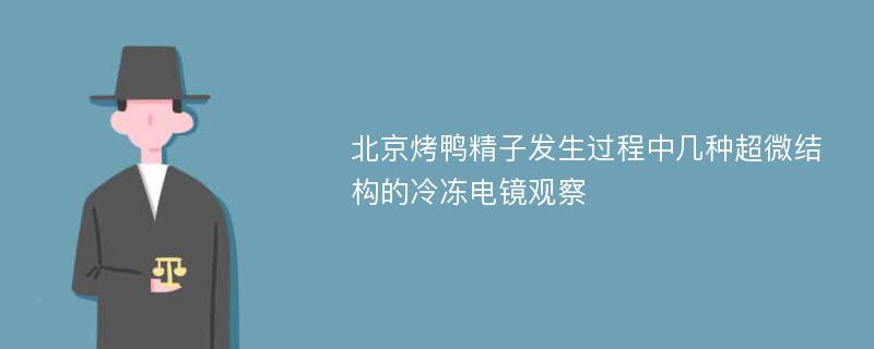 北京烤鸭精子发生过程中几种超微结构的冷冻电镜观察