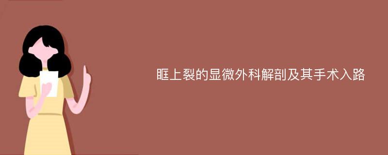 眶上裂的显微外科解剖及其手术入路