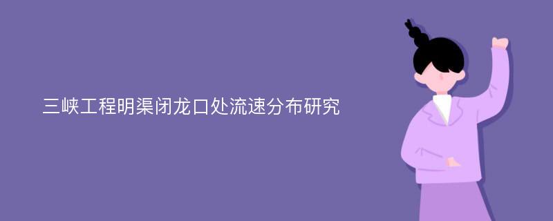 三峡工程明渠闭龙口处流速分布研究