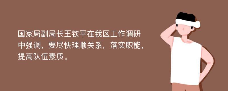 国家局副局长王钦平在我区工作调研中强调，要尽快理顺关系，落实职能，提高队伍素质。