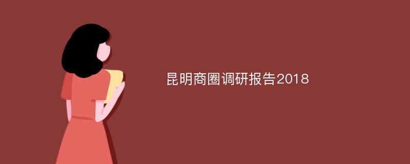 昆明商圈调研报告2018