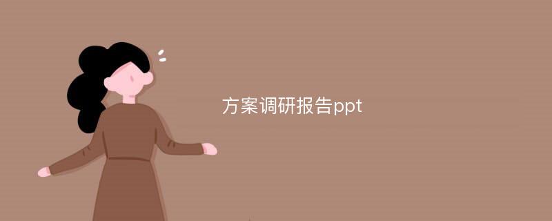 方案调研报告ppt